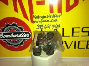 Skidoo frost plug engine